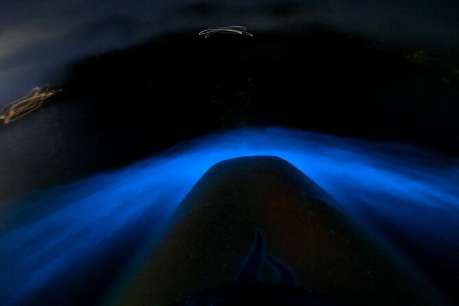 Bioluminescence Kayak Tour - Est. 1994 - Key things to know before you go