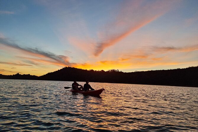 Bioluminescence Kayak Tour - Est. 1994 - Entering the magic: why this Auckland kayak night works