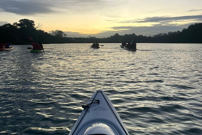 Bioluminescence Kayak Tour - Est. 1994 - Guides make or break it, and here they clearly matter