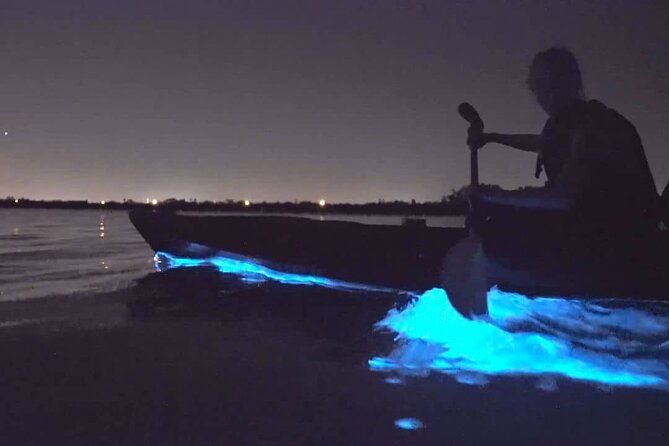 Bioluminescence Kayak Tour - Est. 1994 - Price and value: is $73.85 worth it?