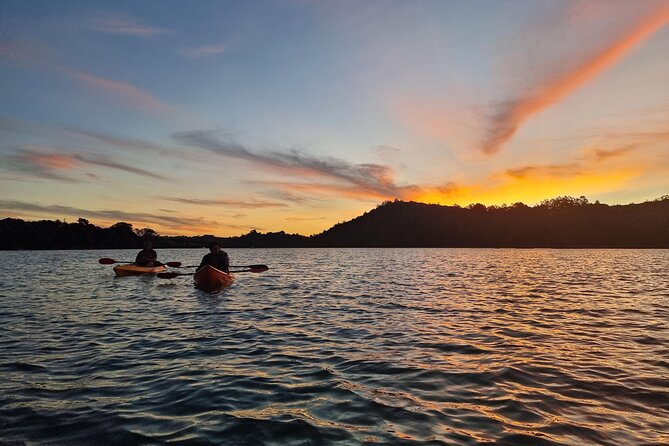 Bioluminescence Kayak Tour - Est. 1994 - Getting to the water: Rosedale meet-up and timing that matters