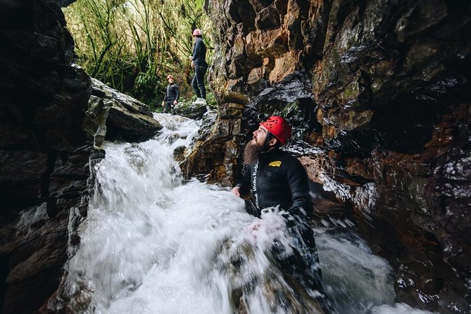 Black Abyss: Ultimate Waitomo Caving - Private Tour from Auckland - Cold water reality check: 10 to 14C year-round
