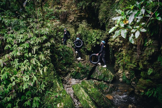 Black Abyss: Ultimate Waitomo Caving - Private Tour from Auckland - Timing and pacing: how the 12 hours adds up