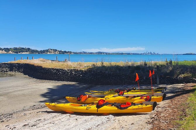 Browns Island Motukorea Sea Kayak Tour - Entering the water: St Heliers Bay Boat Ramp, timing, and group size