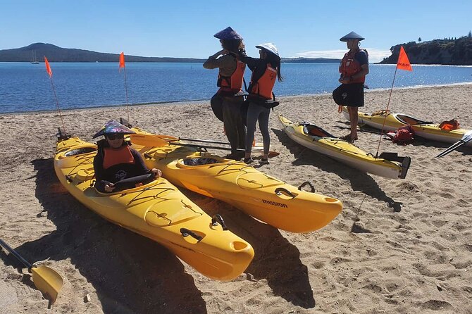 Browns Island Motukorea Sea Kayak Tour - Who should book: beginner-friendly, but match your expectations to sea kayaking