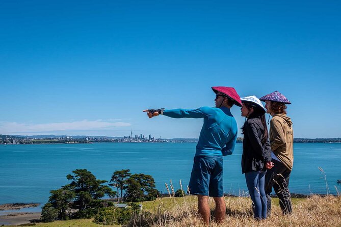 Browns Island Motukorea Sea Kayak Tour - Price and value: about $93 for guiding, instruction, and a unique island stop