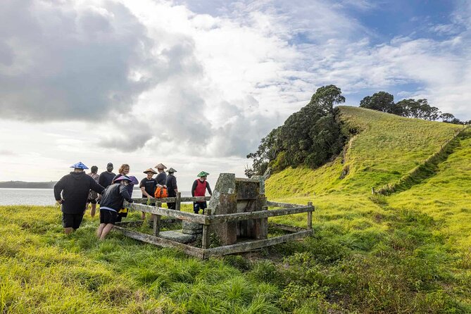 Browns Island Motukorea Sea Kayak Tour - Weather and timing: why good days matter on Hauraki Gulf