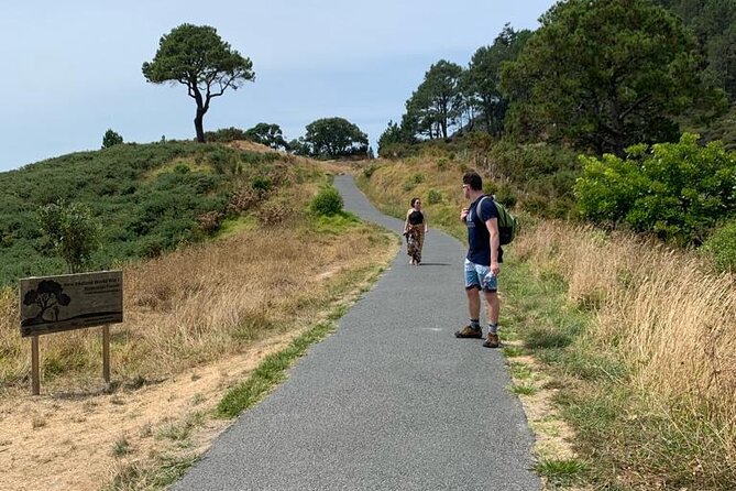 Cathedral Cove and Hot Water Beach Scenic Day Tour from Auckland - The Guide Difference: Why Sharma’s Style Matters