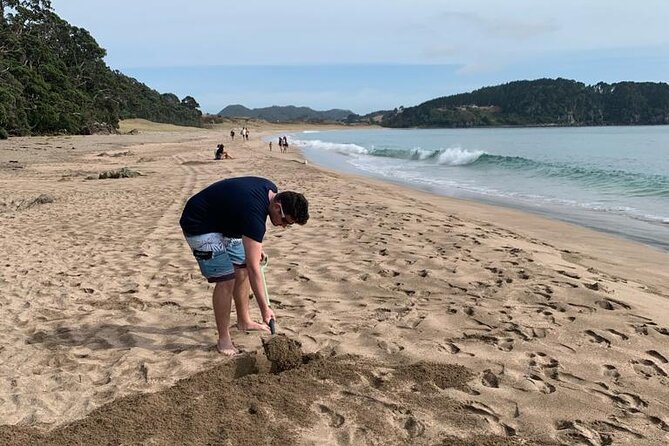 Cathedral Cove and Hot Water Beach Scenic Day Tour from Auckland - Who This Tour Suits Best (And Who Might Want Something Else)