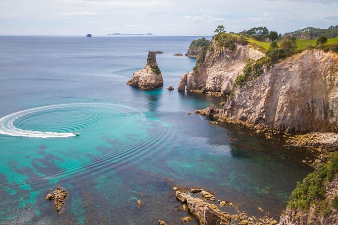 Cathedral Cove & Coromandel, Small-Group Tour from Auckland - From Auckland at 6:30 am: how the day trip really flows