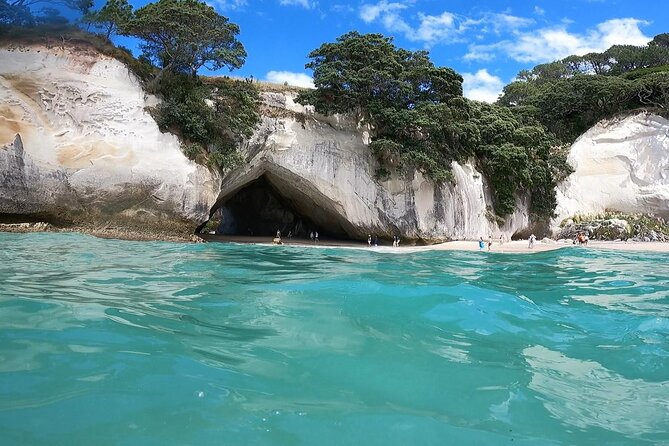 Cathedral Cove & Coromandel, Small-Group Tour from Auckland - Is this the right tour for you?