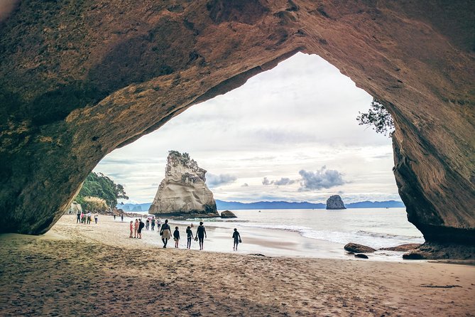 Cathedral Cove Day Trip from Auckland - Auckland to the Coromandel, minus the rental-car stress