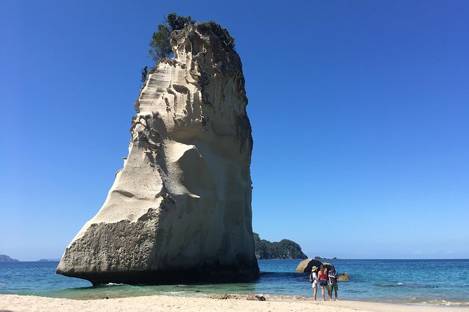 Cathedral Cove Day Trip from Auckland - Cathedral Cove walk in the Te Whanganui-A-Hei Marine Reserve