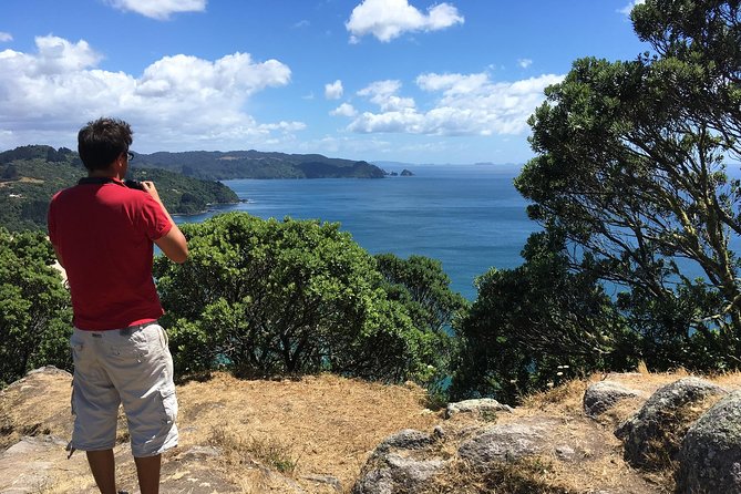 Cathedral Cove Day Trip from Auckland - How the guide and group size shape the whole day