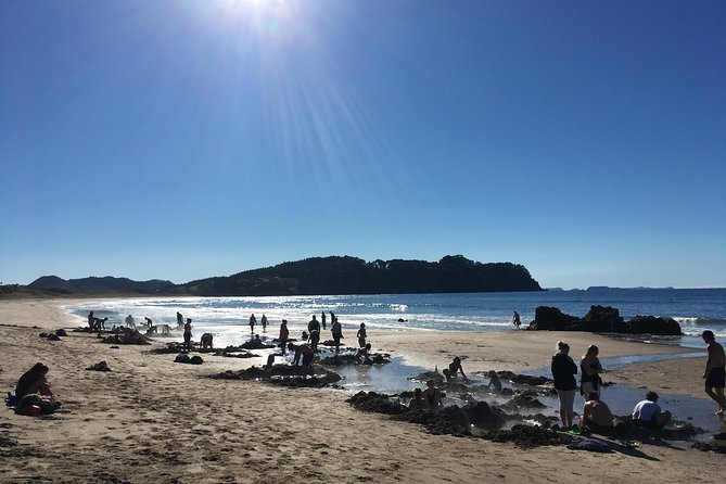 Cathedral Cove Day Trip from Auckland - Price and value: what $242.02 covers, and what you must plan for
