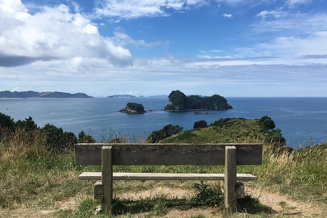 Cathedral Cove Day Trip from Auckland - Who this Auckland day trip is best for