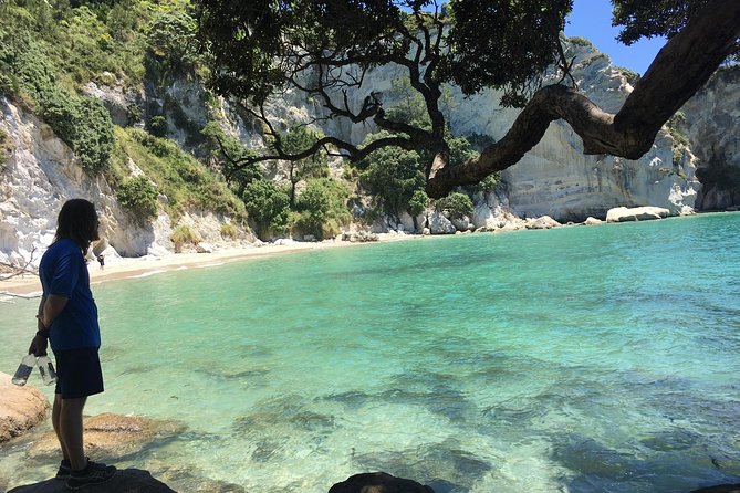 Cathedral Cove Day Trip from Auckland - Hot Water Beach: warm water where the sand meets spring heat