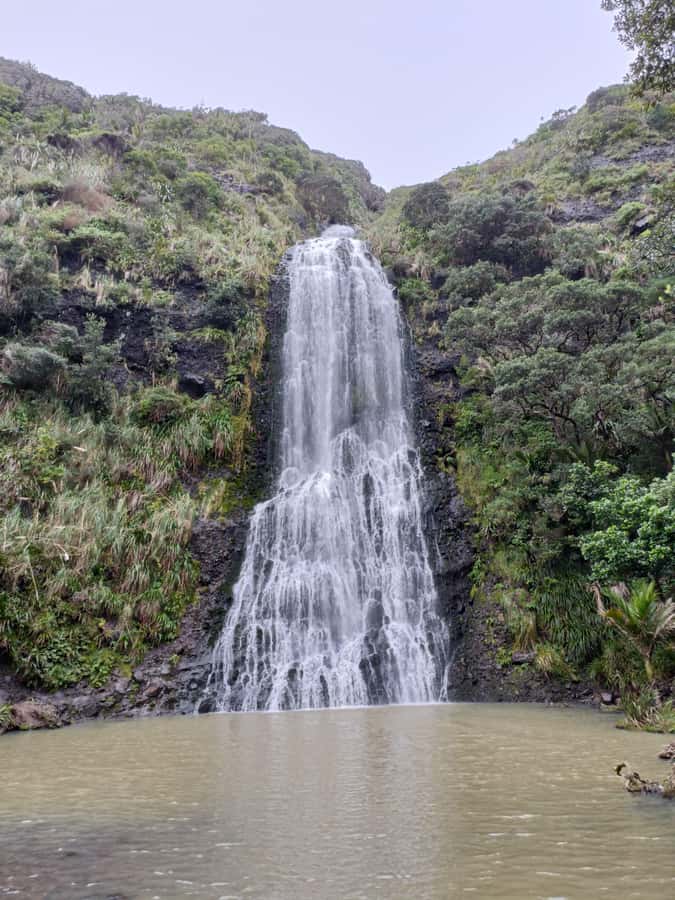 “City & Coast & Country” – A Relaxed Day Tour from Auckland - A relaxed 6-hour West Coast day that avoids car stress