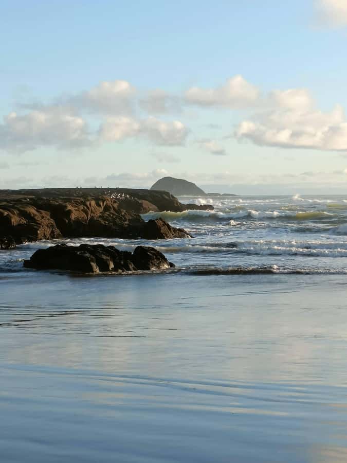 “City & Coast & Country” – A Relaxed Day Tour from Auckland - Piha Beach: West Coast views with classic postcard energy