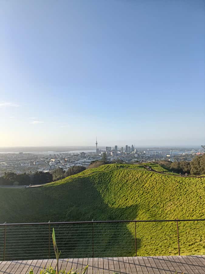 “City & Coast & Country” – A Relaxed Day Tour from Auckland - Arataki Visitor Centre and kauri trees above Auckland
