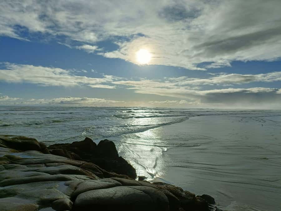 “City & Coast & Country” – A Relaxed Day Tour from Auckland - Comfort, pacing, and what to pack so the day stays pleasant