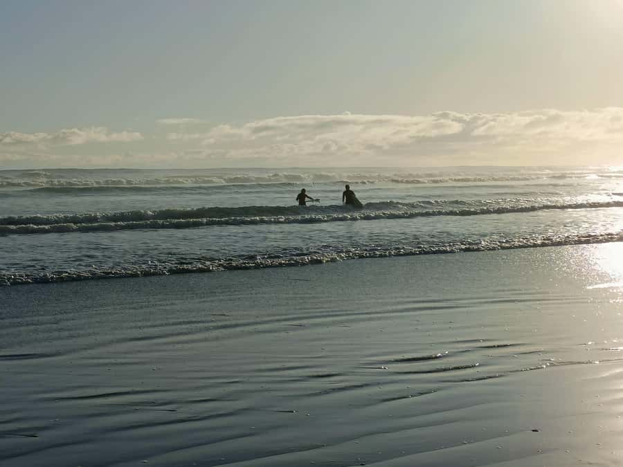 “City & Coast & Country” – A Relaxed Day Tour from Auckland - Kumeū wine region: a calm break before the wild coastline