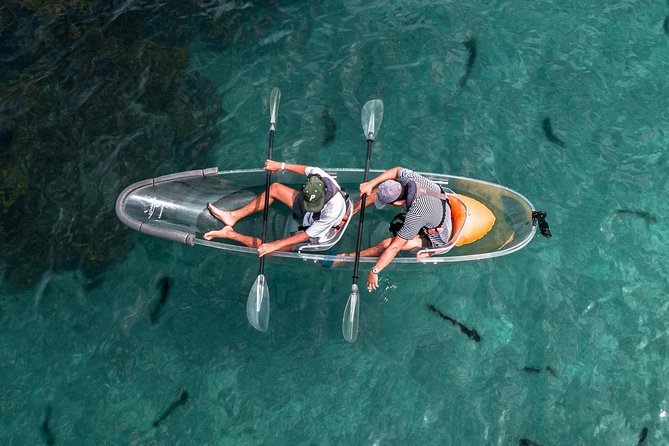 Clearyak hire at Goat Island Marine Reserve - Key highlights you should plan around
