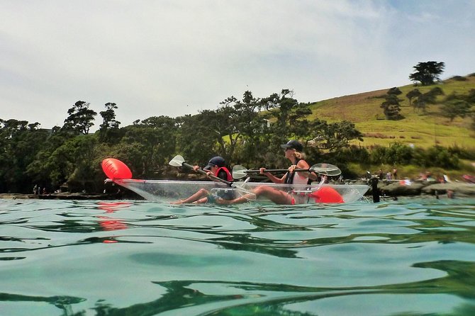 Clearyak hire at Goat Island Marine Reserve - What you do during your 30 to 60 minutes on the water