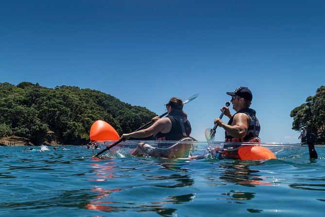 Clearyak hire at Goat Island Marine Reserve - Tides, conditions, and the day-of operating banner