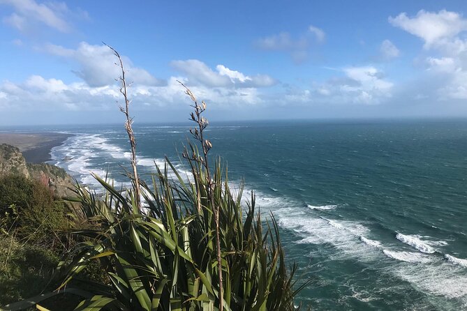 Coast and Rainforest Eco-Tour from Auckland with Picnic Lunch - Guides and pacing: why the small group feels right