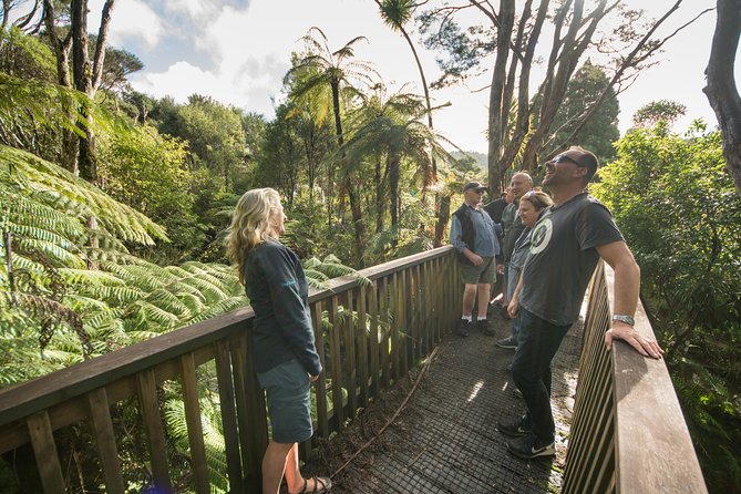 Coast and Rainforest Eco-Tour from Auckland with Picnic Lunch - Rain and west-coast weather: what to wear so the day stays fun