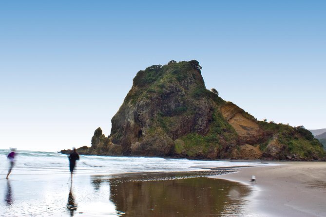 Coast and Rainforest Eco-Tour from Auckland with Picnic Lunch - Price and value: is $192.38 worth it?