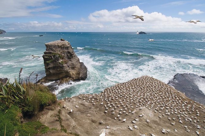 Coast to Coast Private Eco Tour - Key highlights worth your attention