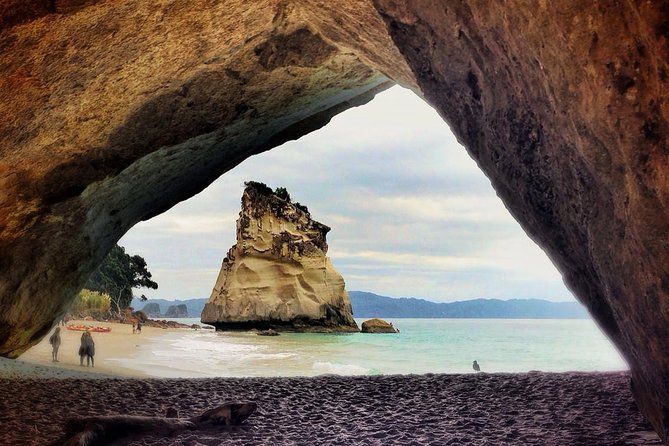 Coromandel Coastal Experience - Small Group Tour from Auckland - What you are really getting on the road: guide time, comfort, and practical perks