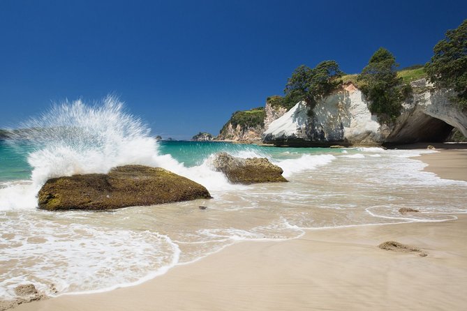 Coromandel Coastal Experience - Small Group Tour from Auckland - Comfort, fitness, and packing tips that keep the day enjoyable