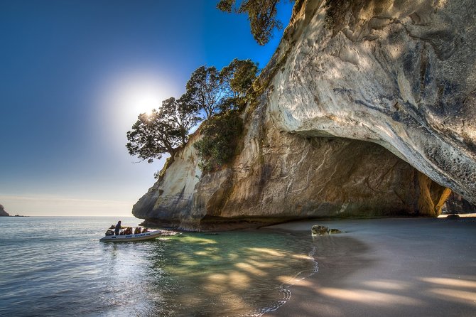 Coromandel Coastal Experience - Small Group Tour from Auckland - Value for your money on this Coromandel day