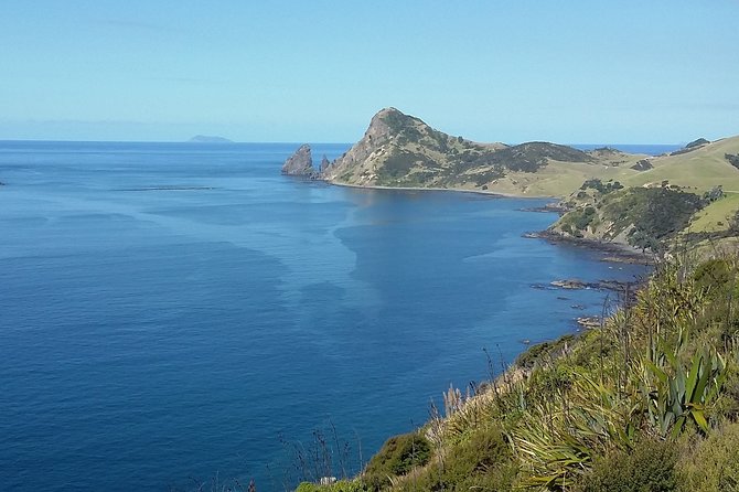 Coromandel Coastal Experience - Small Group Tour from Auckland - Who should book, and who should think twice