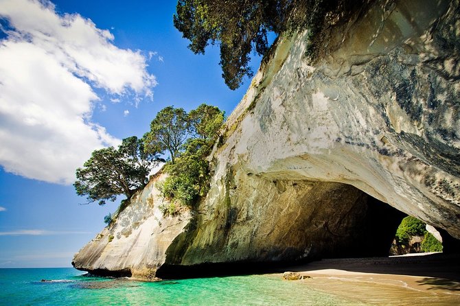 Coromandel Coastal Experience - Small Group Tour from Auckland - The early stops that turn the long drive into part of the experience