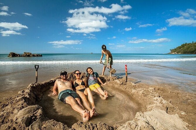 Coromandel Day Tour From Auckland - Key Highlights You Should Not Miss