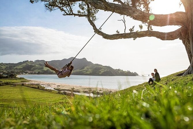 Coromandel Day Tour From Auckland - Hot Water Beach: Digging For Warmth At Tide Time