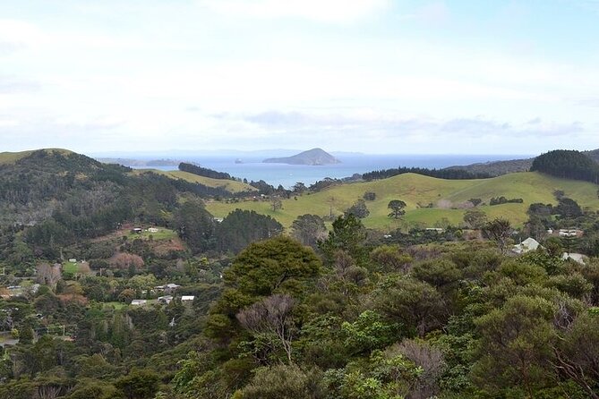 Coromandel Day Tour From Auckland - The Pace, Group Size, And What It Feels Like In Real Life