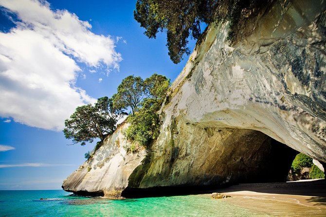 Coromandel Peninsula Discovery - Private Tour From Auckland - Morning logistics: 7:00 am pickup, private minibus, and WiFi