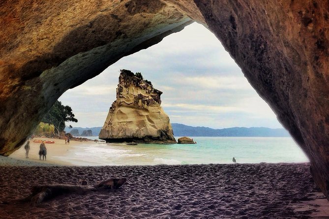 Coromandel Peninsula Discovery - Private Tour From Auckland - Cathedral Cove boat tour: sea caves, marine life, and Prince Caspian context