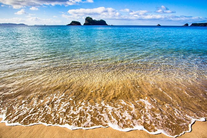 Coromandel Peninsula Discovery - Private Tour From Auckland - Driving scenery in the background: native forest, farmland, and smaller coastal towns