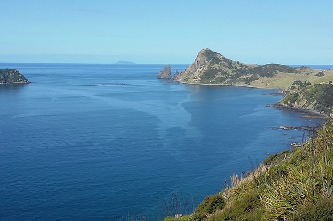 Coromandel Peninsula Discovery - Private Tour From Auckland - Comfort and safety notes that actually affect your enjoyment