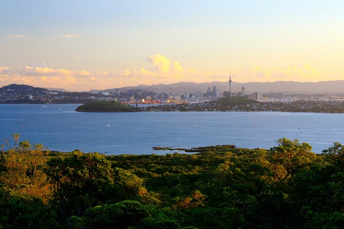 Day sea kayak tour Rangitoto Island - The Waitemata Harbour crossing, wildlife chances, and possible route changes