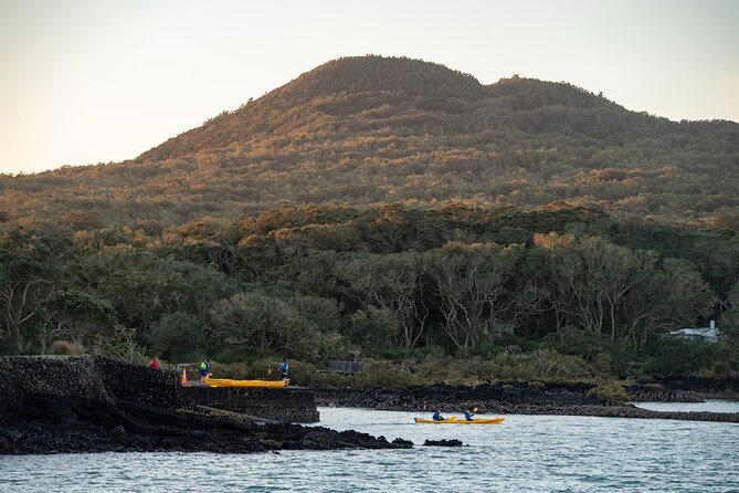 Day sea kayak tour Rangitoto Island - Price and value: what you get for about $152 per person