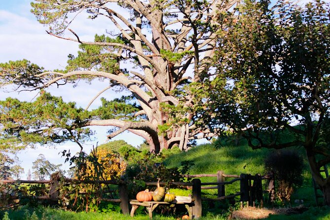Day Tour Hobbiton + Rotorua from Auckland in Luxury Minibus - Timing and transportation tips for a 13-hour day