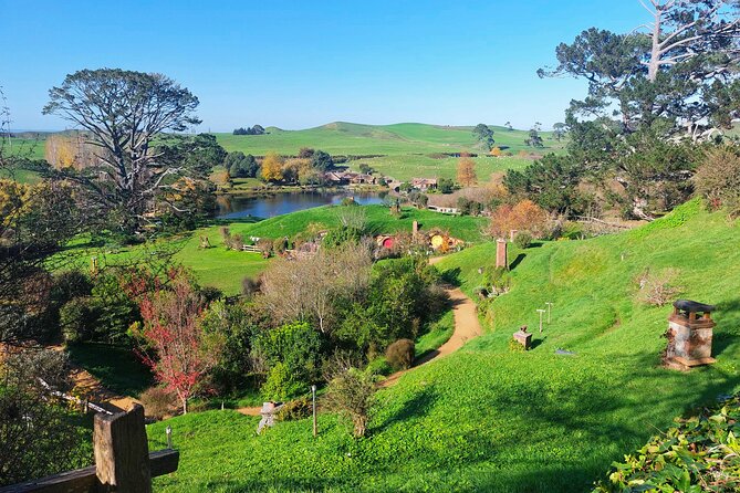 Day Tour Hobbiton + Rotorua from Auckland in Luxury Minibus - Price and value: what $312.77 gets you