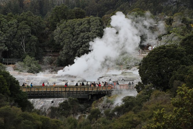 Day Tour Hobbiton + Rotorua from Auckland in Luxury Minibus - Should you book FlexiToursNZ for Hobbiton and Te Puia?